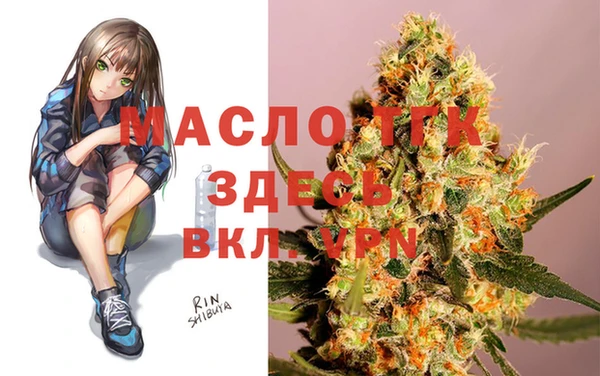соль ск Тайга
