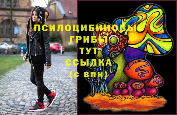 круглые Тавда