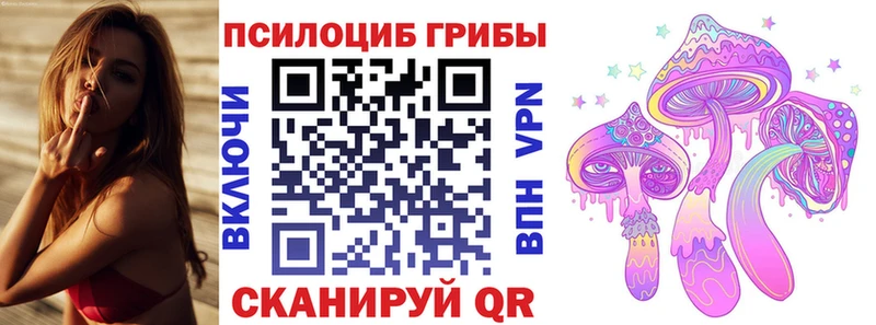 цены   Пойковский  Галлюциногенные грибы Cubensis 