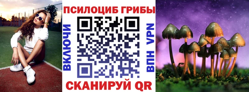 Псилоцибиновые грибы Psilocybe Пойковский